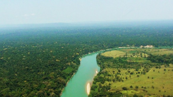 Selva_Lacandona_lista_para_monocultivos